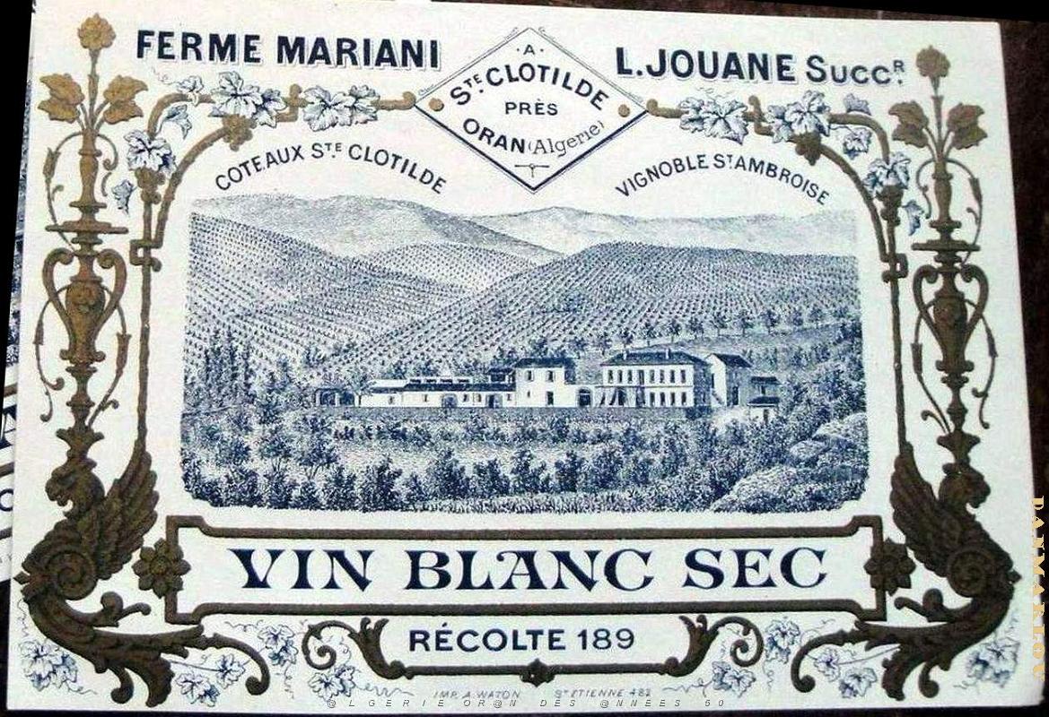 Oran Pub vins 252.jpg